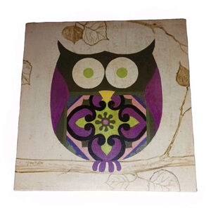 Owl Bird Picture Print Canvas Frame 12x12 Hope Smith
